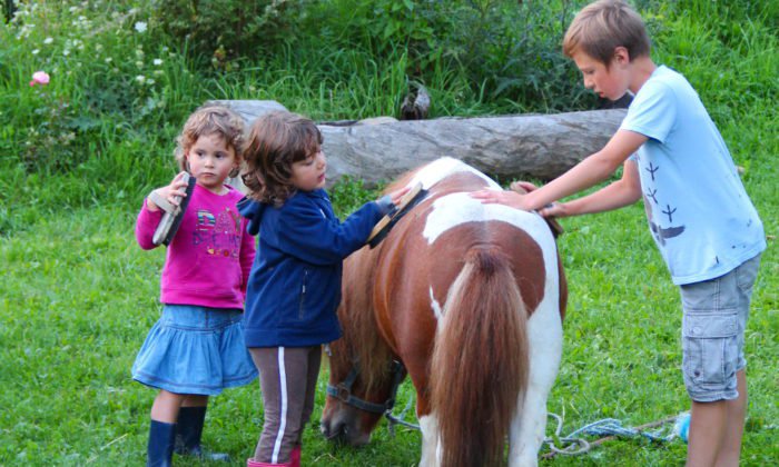 hoferlebnis-fruehling-pony-striegeln