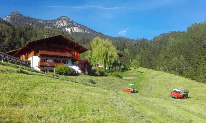 hoferlebnis-sommer-heuernte