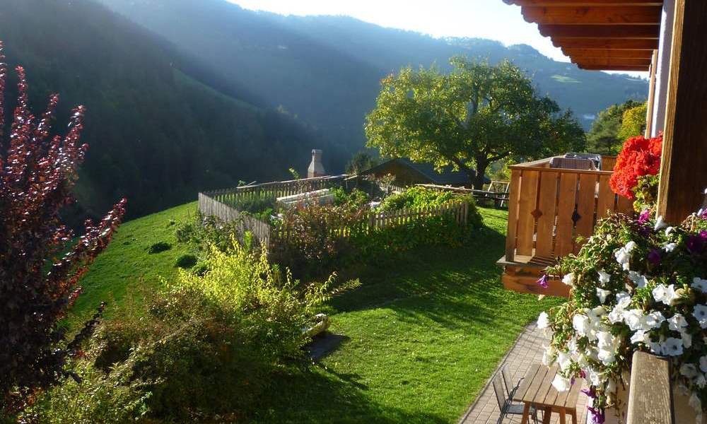 Vista del giardino della nonna