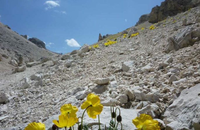 Der Labyrinthsteig