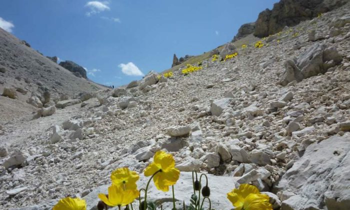 Der Labyrinthsteig