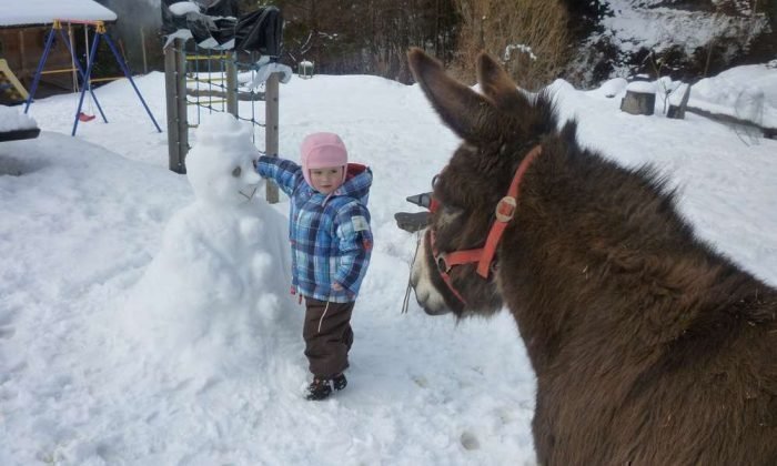 winterurlaub-dolomiten (3)