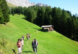 Almurlaub Südtirol
