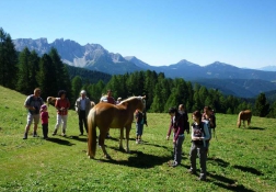 Wanderung über Pferdekoppel