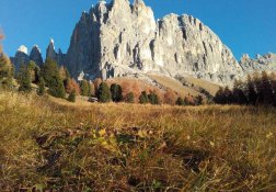 Der Rosengarten im Herbst