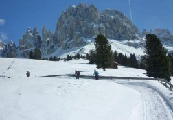 Rosengarten im Winter