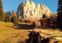 Rosengarten in der Herbstsonne