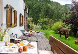 Ferienwohnung Quellwasser