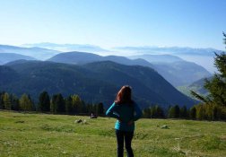 Wandern Tiers am Rosengarten