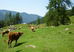 Wandern Tiers am Rosengarten