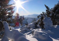 Wandern Tiers am Rosengarten