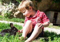 Platschgoler Hof Paradies für Kinder