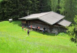 Unsere Alm