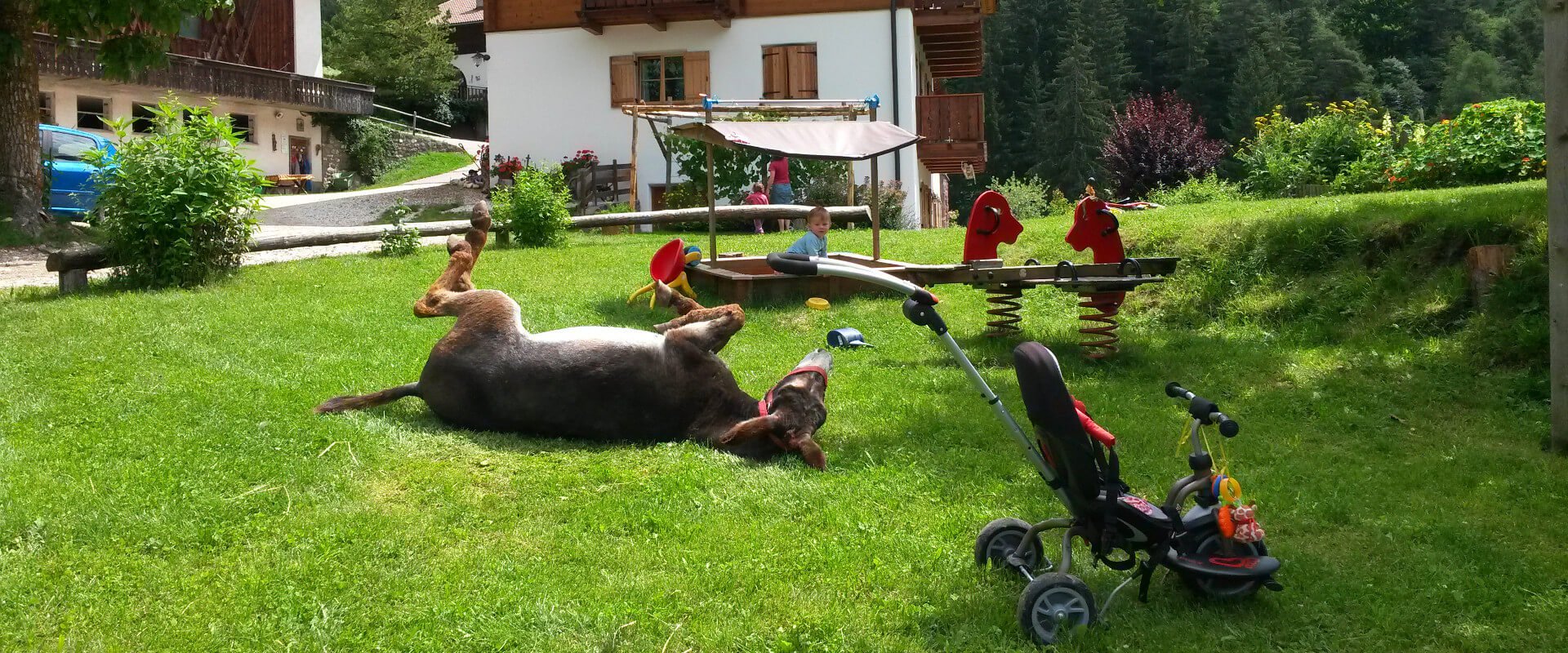 urlaub-bauernhof-dolomiten-14