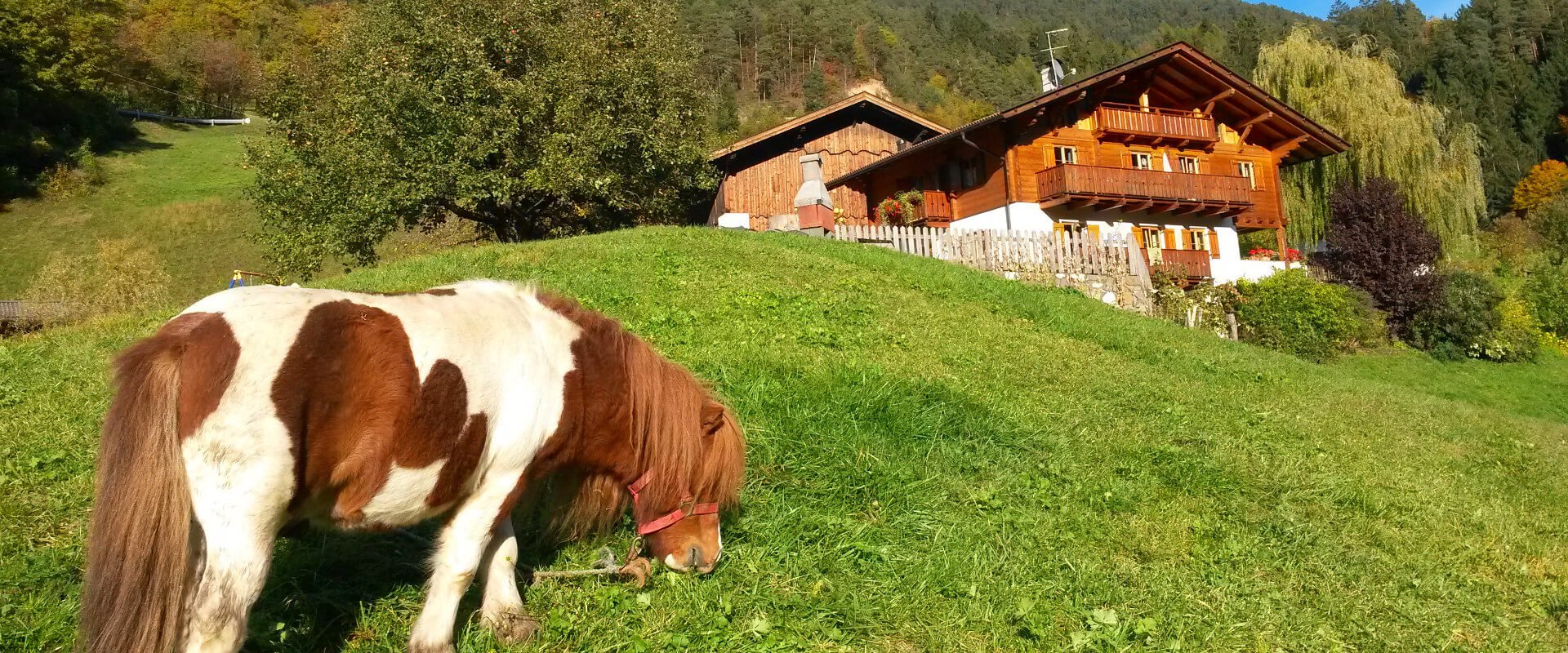 urlaub-bauernhof-dolomiten-21